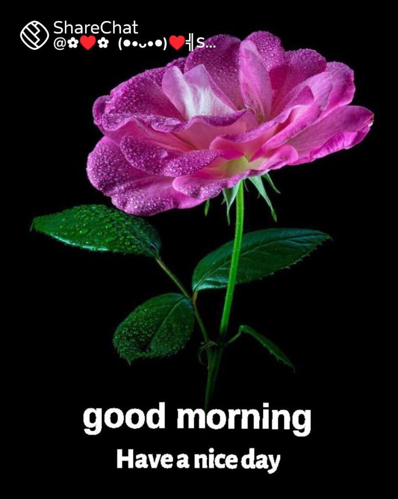 మరో కొన్ని గంటలలో ఇంటర్ ఫలితాలు … సబితా ఇంద్రారెడ్డి