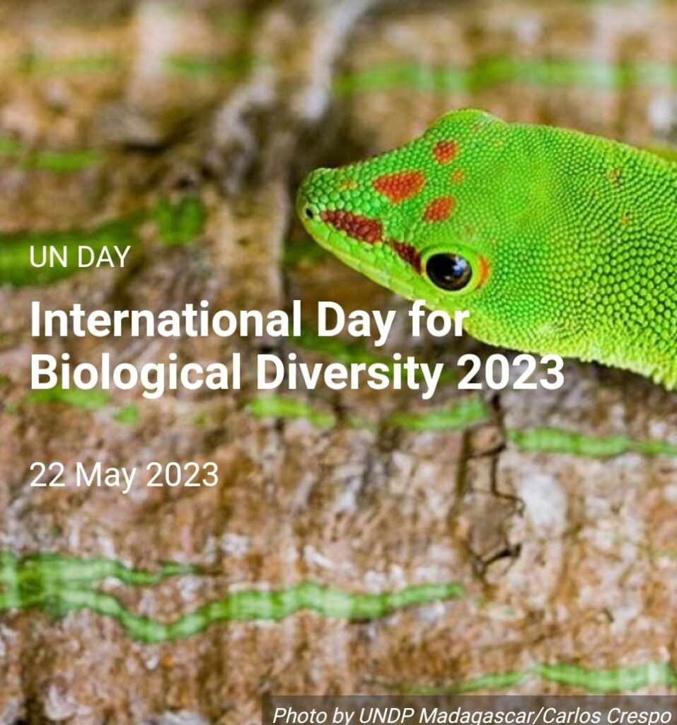 అంతర్జాతీయ జీవవైవిద్య దినోత్సవం 2023 స్పెషల్