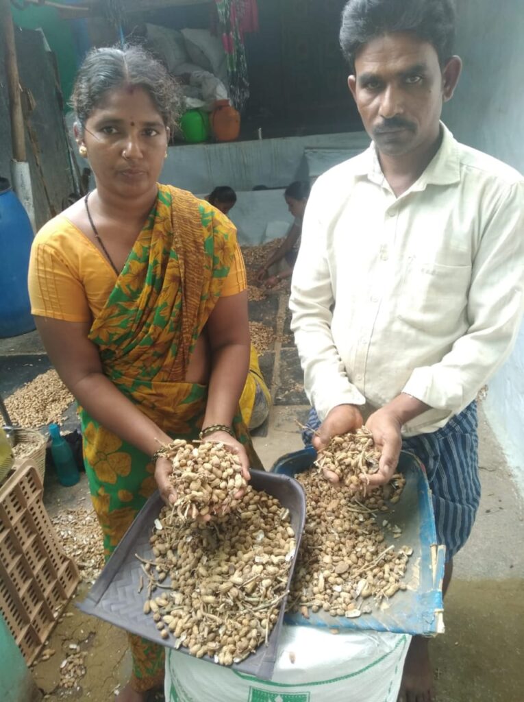 రైతులకు రాయితీపై నాసిరకం వేరుశనగ బుడ్డల ను పంపిణీ చేసిన అధికారులు