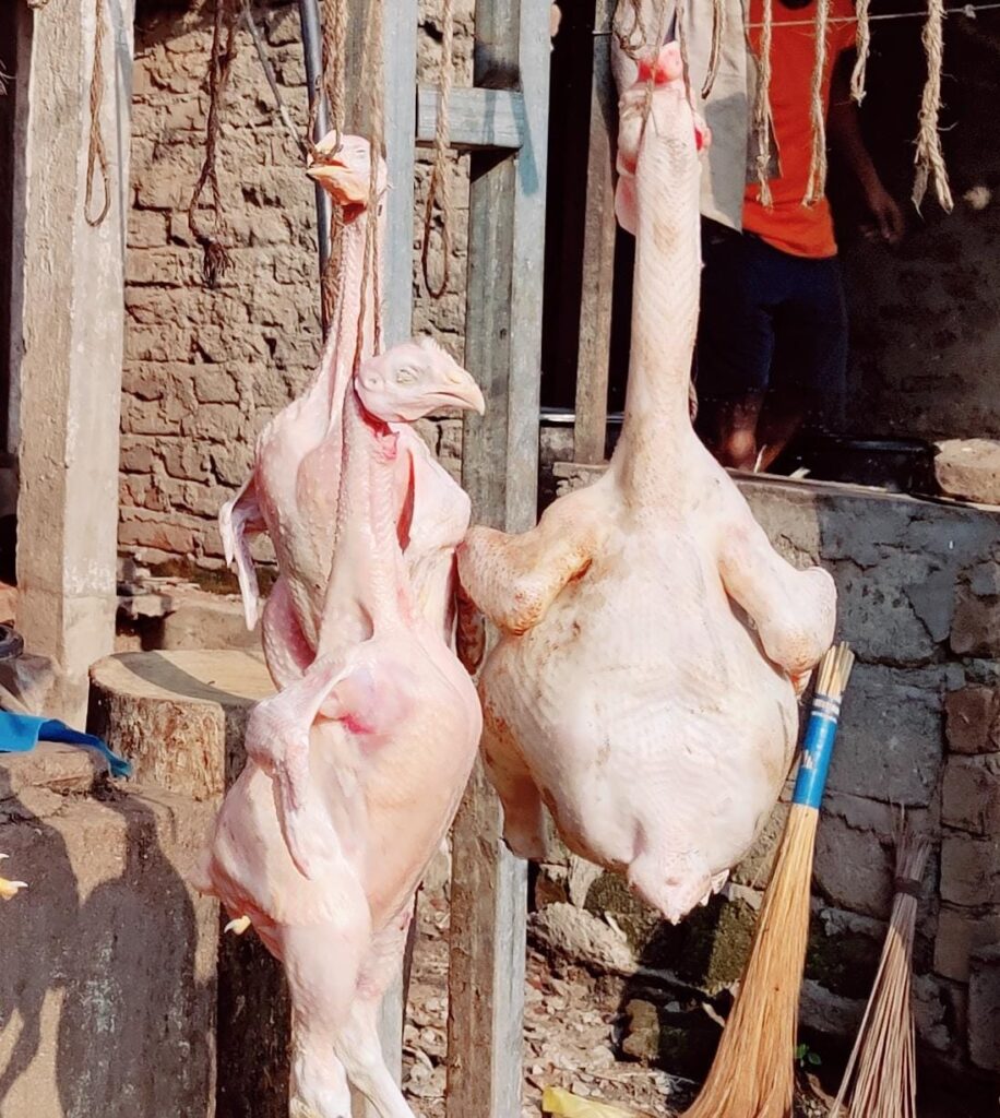 చికెన్ ధరలకు రెక్కలు.