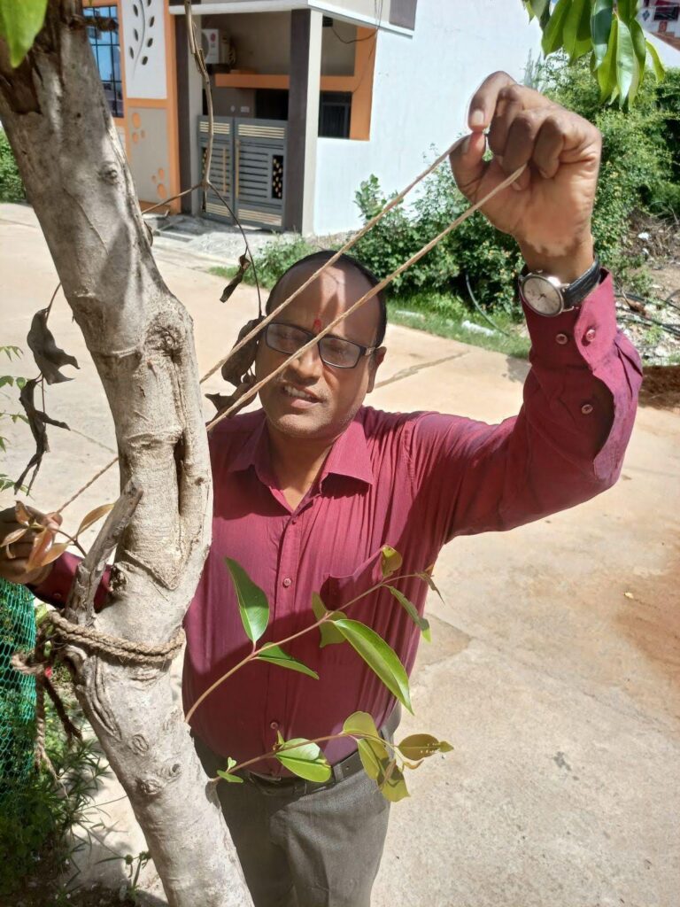 చెట్టుకు రక్షాబంధన్..!